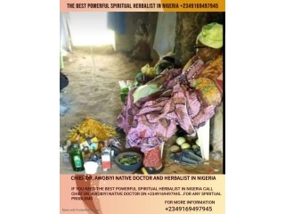 The most powerful spiritual herbalist native doctor in Nigeria +2349169497945