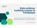 data-science-ds-training-course-in-faridabad-small-0