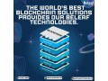 the-worlds-best-blockchain-solutions-provides-our-beleaf-technologies-small-0