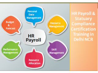 HR Payroll Training Course in Delhi, SLA Classes, SAP HCM Certification in Gurgaon, HR Institute in Noida, 2024 Offer