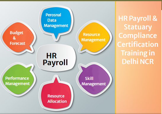 hr-payroll-training-course-in-delhi-sla-classes-sap-hcm-certification-in-gurgaon-hr-institute-in-noida-2024-offer-big-0