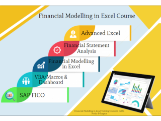 Financial Modeling Course in Delhi, 110064. Best Online Live Financial Analyst Course in Hyderabad by IIT Faculty , [ 100% Job in MNC]
