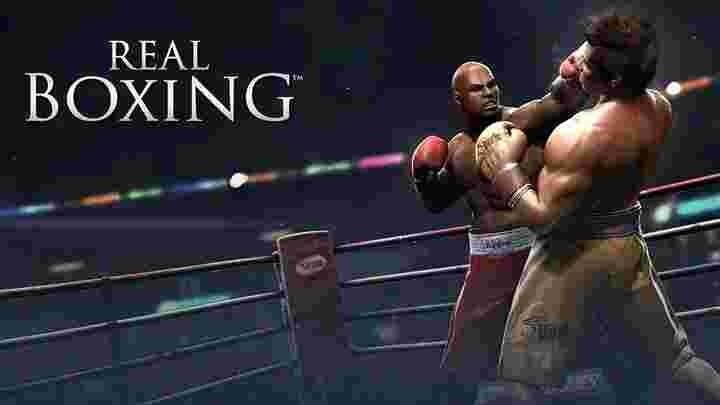 real-boxing-2014-laptop-desktop-computer-game-big-0