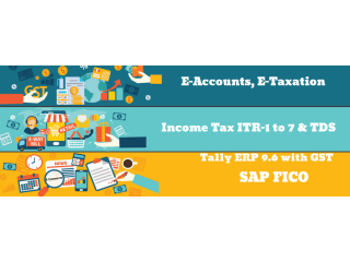 Remote Work & Global Opportunities: Why Accounting is a Smart Choice in 2025, 100% Job, Accounting Course in Delhi,