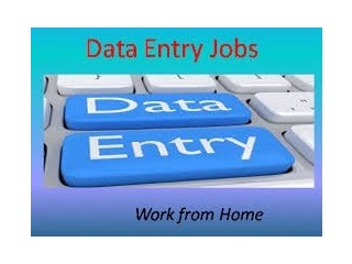 Hospital Entry Form Filling projects available call 7708244092.