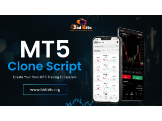 Best MT5 Clone Script Provider In USA