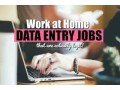 data-filling-project-for-typists-7708244092-small-0
