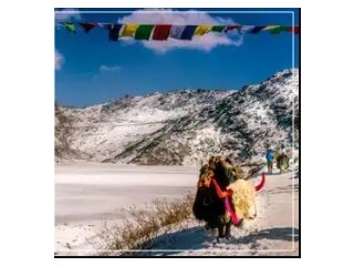 Top Attractions Covered in Darjeeling Gangtok Package Tour from NJP