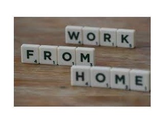 Work from Home: Data Entry Opportunity