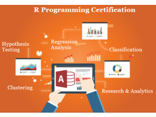 R Program Training Course in Delhi, 100% Job [Update Skills in Gen AI, for 2026 MNC Career] - Python Gen AI Certification, SLA