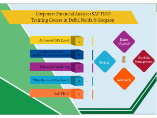 Financial Modelling Certification Course in Delhi,110059. Best Online Live Financial Analyst Training in Bhiwandi by IIT Faculty , [ 100% Job in MNC]