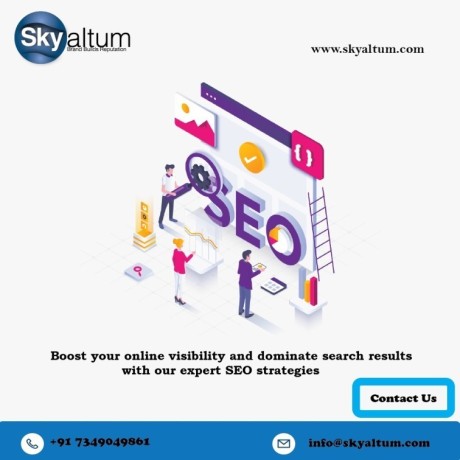 get-more-organic-leads-with-skyaltum-seo-company-in-bangalore-big-0