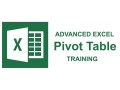 advanced-excel-pivot-table-pivot-chart-reporting-training-johor-bahru-small-0