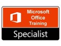 microsoft-office-application-training-course-ms-office-skills-small-0